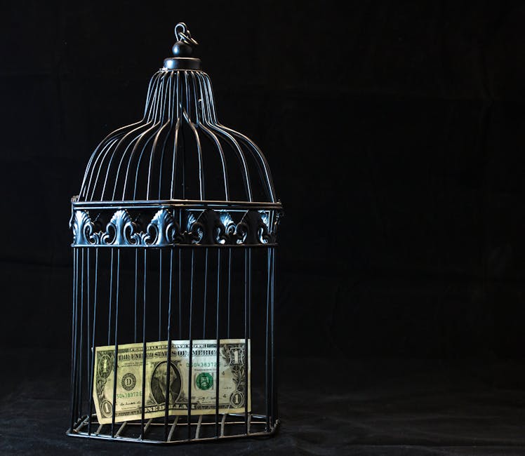 A dollar bill imprisoned in a decorative cage symbolizing financial confinement.
